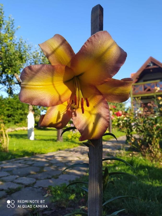 Agroturystyka U Ani Villa Worplawki Exterior foto